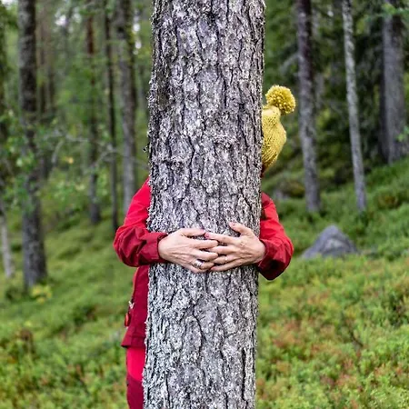 Apartman Lomakolo Äkäslompolo